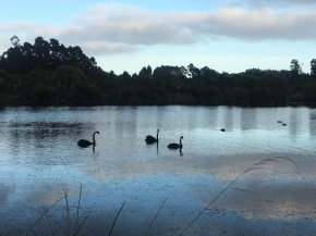 Calm Swan Villa Christchurch